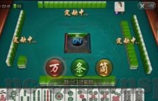 王楠报道世界杯-王楠眼中的世界杯，激情与梦想的碰撞